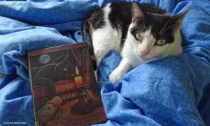 Yuki mit dem Katzenbloggerbuch