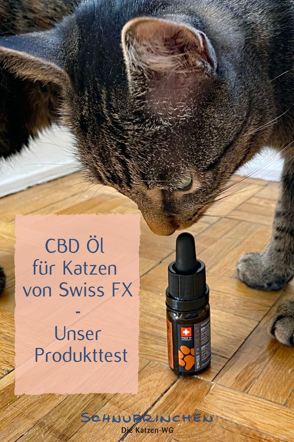 CBD Öl - Unser Test