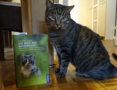 Buchvorstellung: Die Welt aus Katzensicht – John Bradshaw