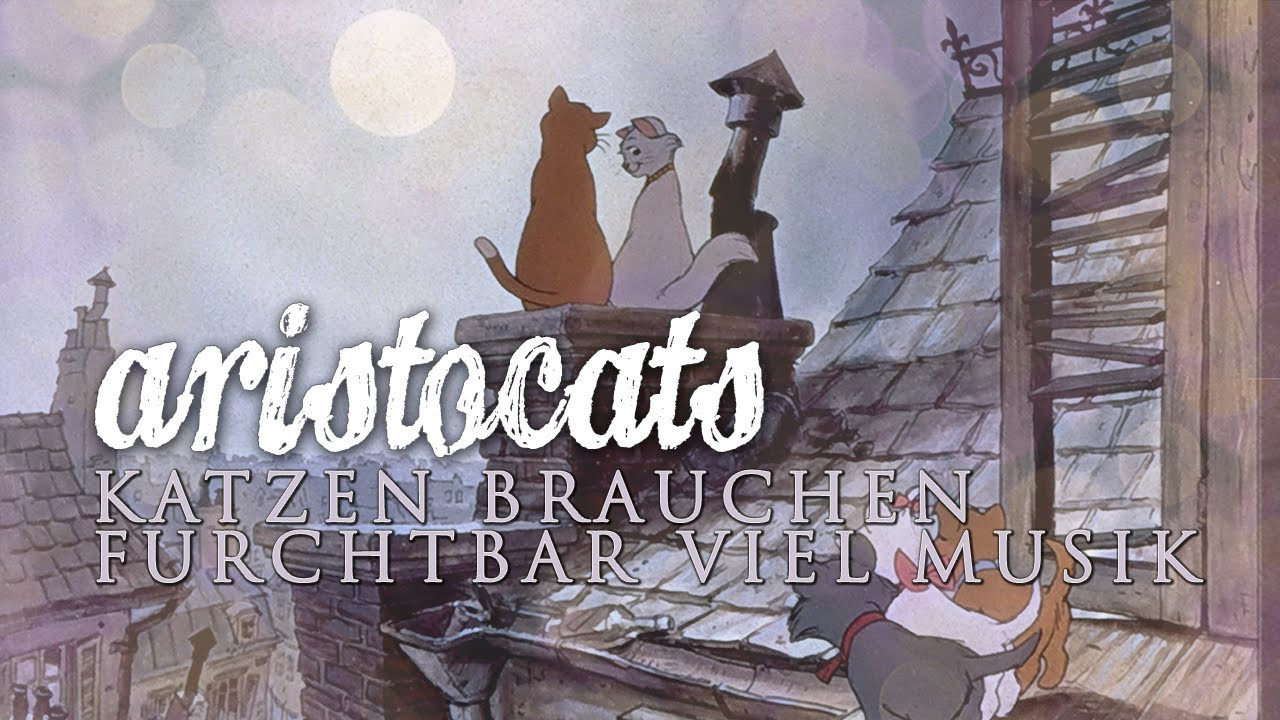 Unsere 10 beliebtesten Lieder mit Katzen - Schnurrinchen